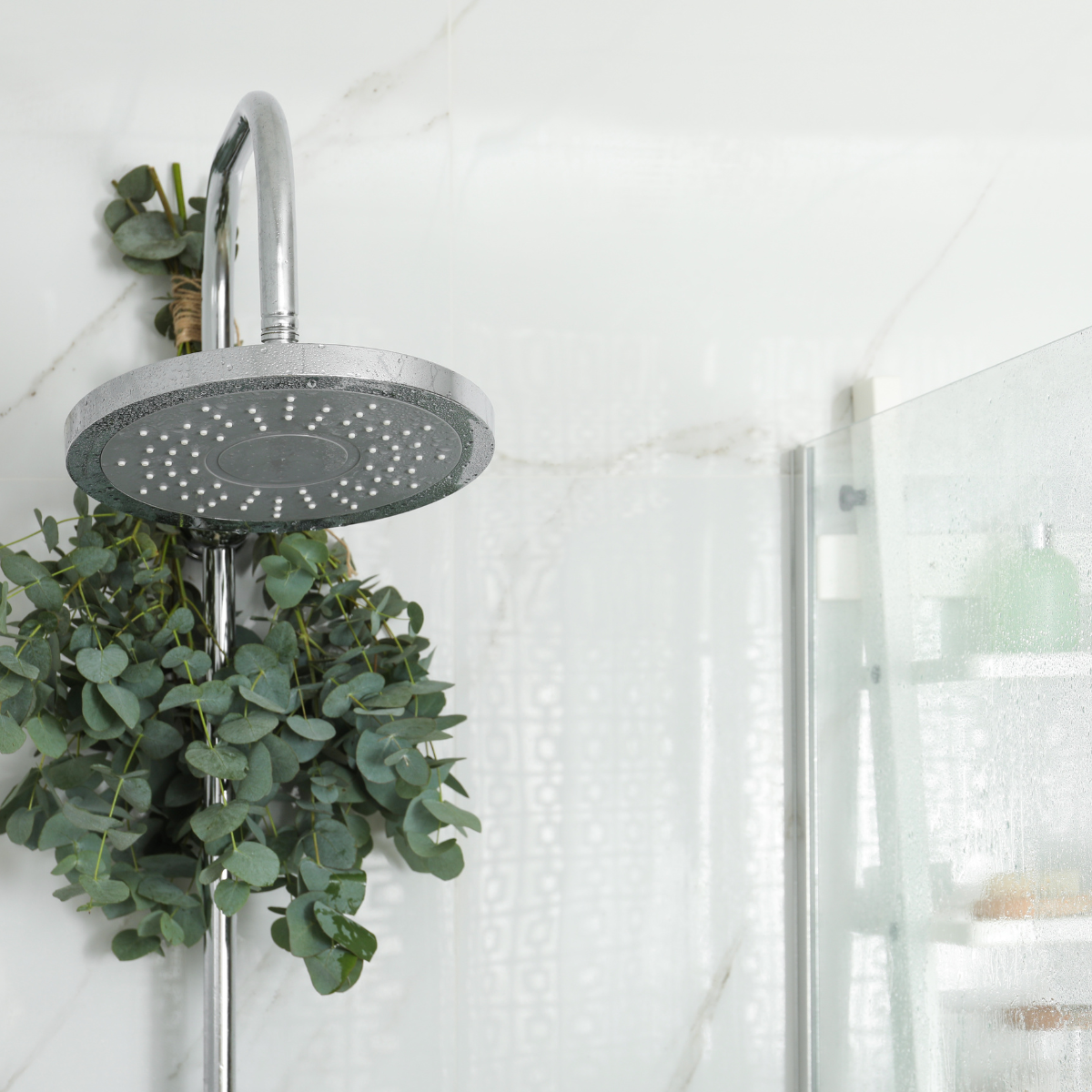 Shower Fizzies